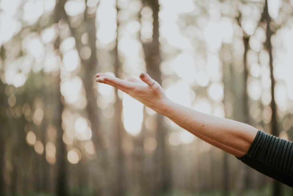 🧘 Wellness & Pilgrimage Tours